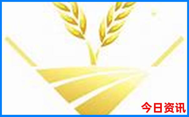 巴黎有什么著名的景点